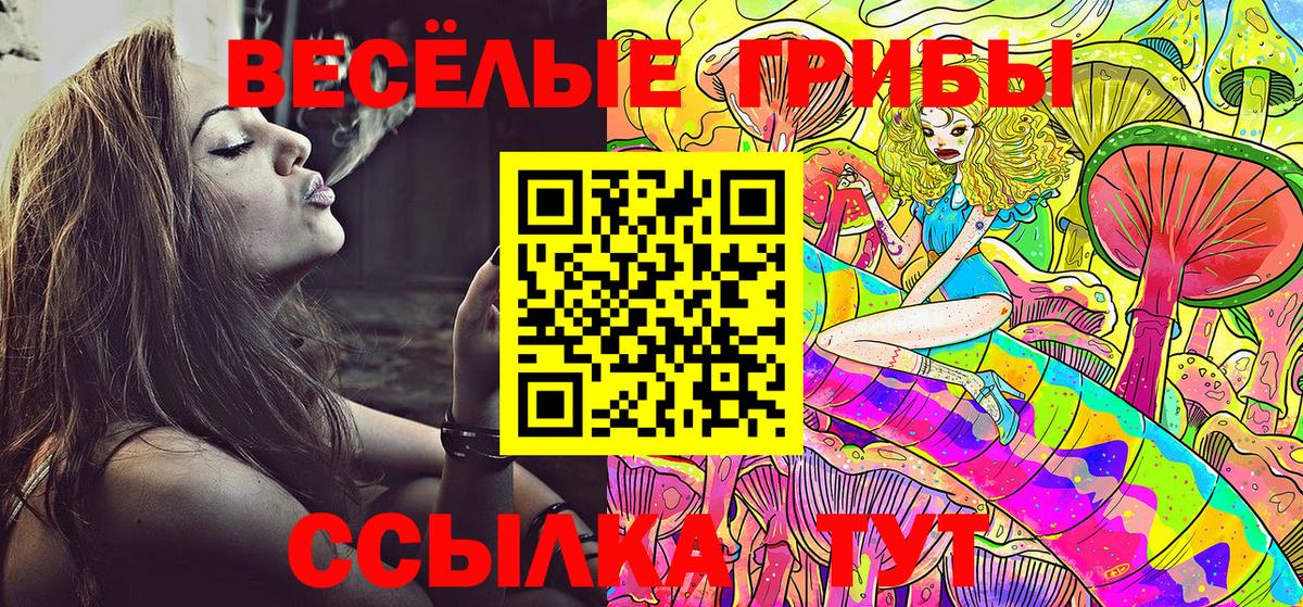 Галлюциногенные грибы Psilocybe Коммунар