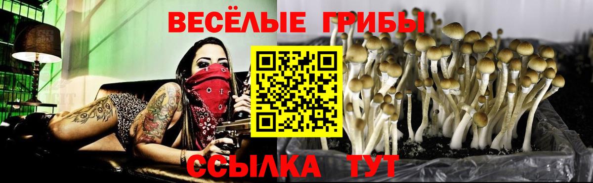Галлюциногенные грибы GOLDEN TEACHER  Вход с VPN  Коммунар  Псилоцибиновые грибы мицелий 